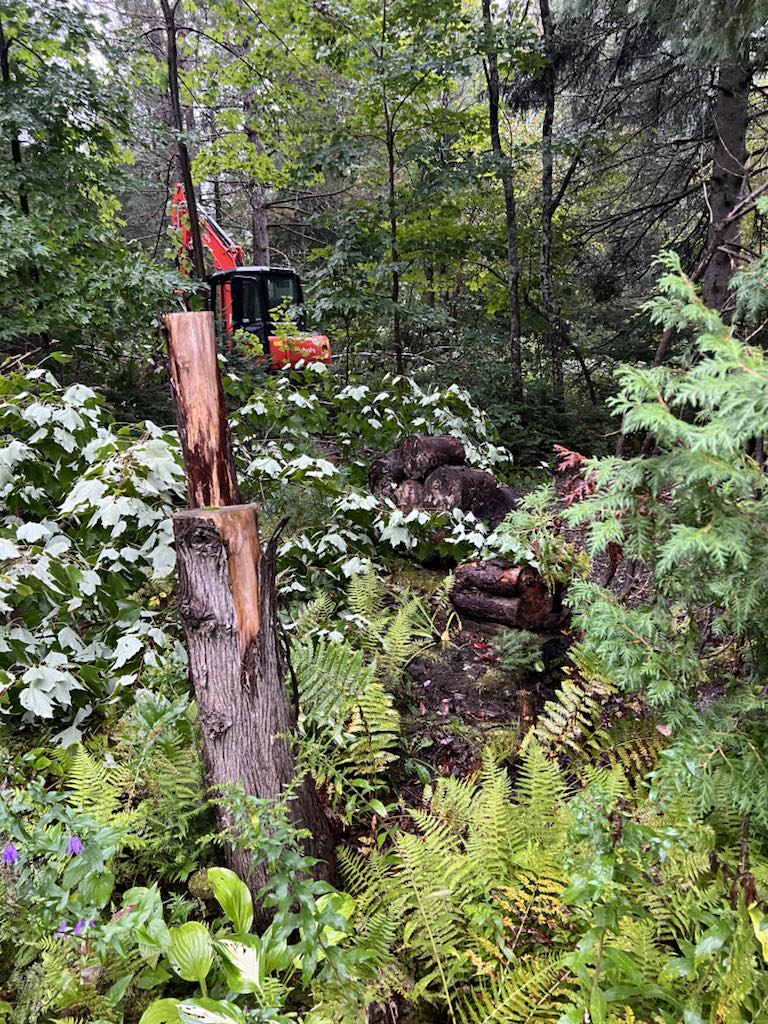 MCL Excavation - forêt